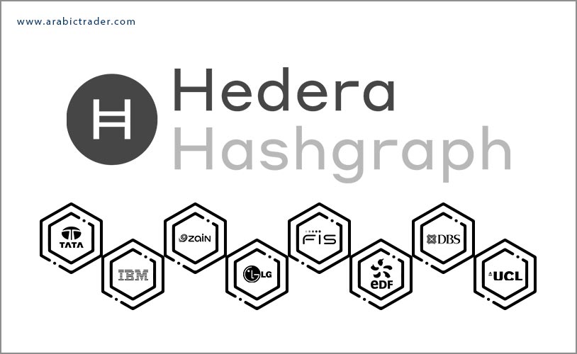 دليل حول مشروع Hedera Hashgraph وعملته الرقمية HBAR